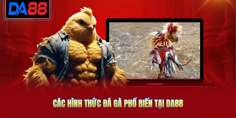Các hình thức đá gà phổ biến tại DA88
