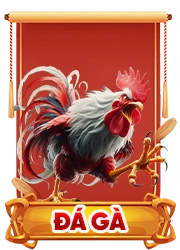 đá gà