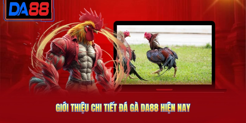 Giới thiệu chi tiết đá gà DA88 hiện nay
