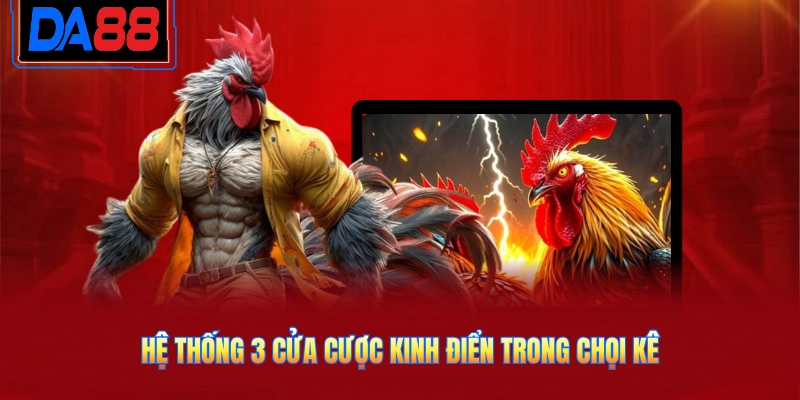 Hệ thống 3 cửa cược kinh điển trong chọi kê
