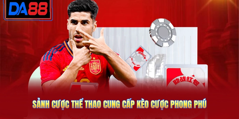 Sảnh cược thể thao cung cấp kèo cược phong phú